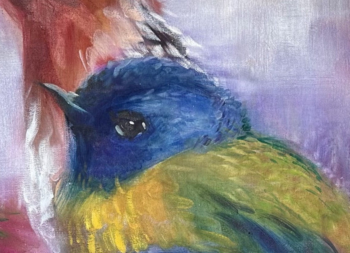 Bunte Vögel (Colorful Birds)